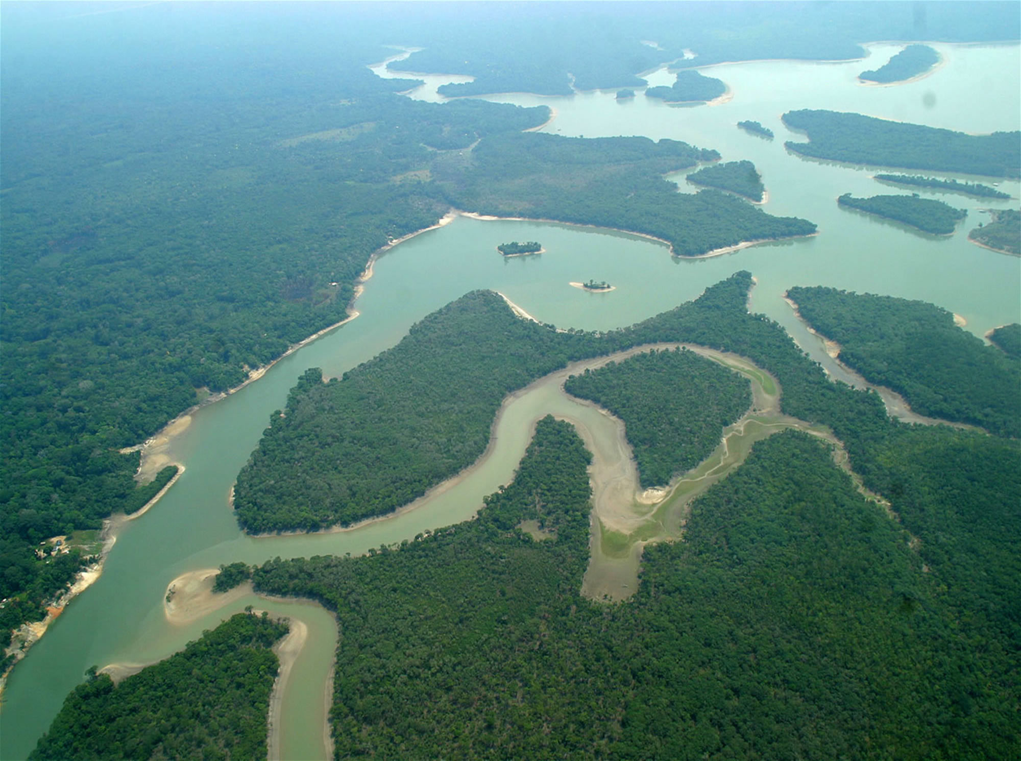 FlorestaAmazonica1