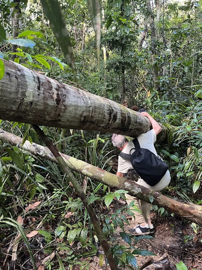 Visitante em trilha na floresta amazônica