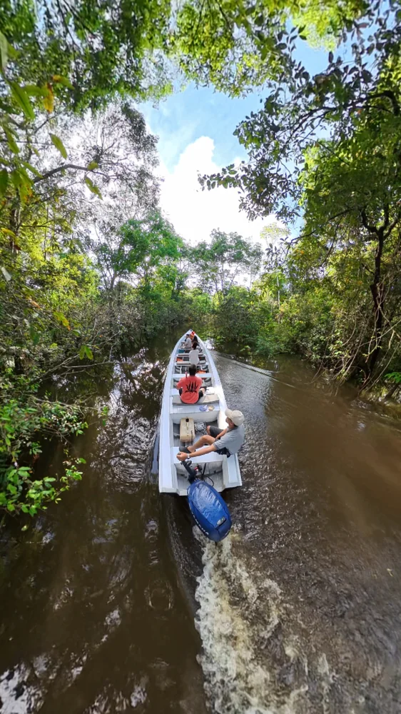 Passeio de canoa pela floresta amazônica